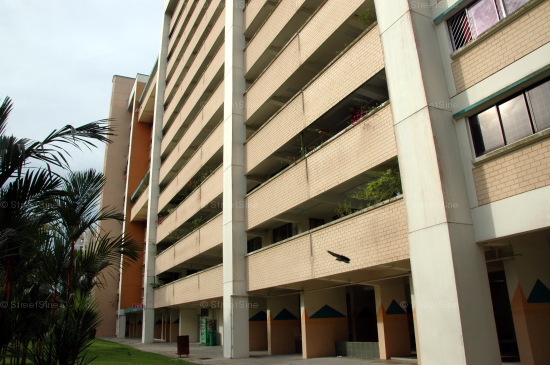 Petir Road thumbnail photo